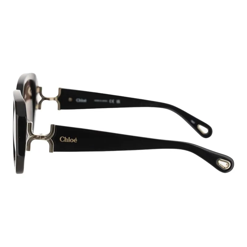 Chloe Recycled Acetate Irregular Shape Sunglasses Women's Black-1