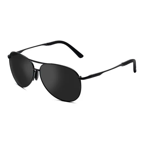 MT·MIT Aviator Frog Eye Sunglasses Men's
