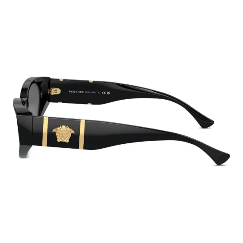 VERSACE Cat Eye Sunglasses-2