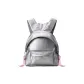 Silver Gray