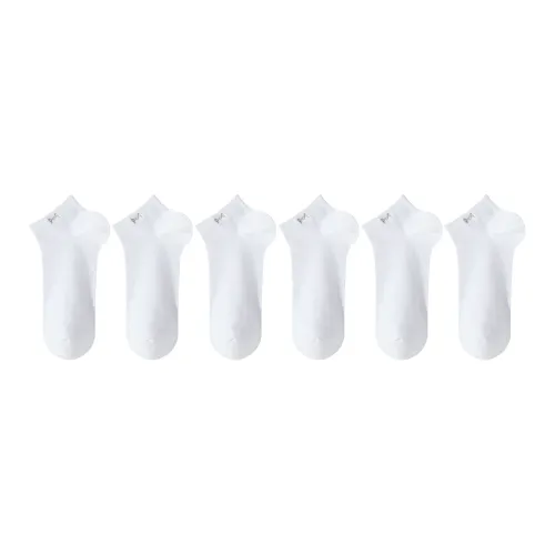 MIIOW No-Show Socks Men's 6 Pack