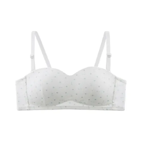 Lanza Women's Bras