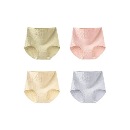 Ordifen Women's Underpants