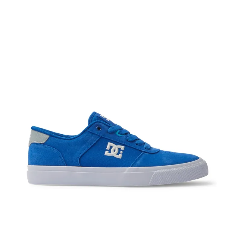 DC Shoes Slip-Resistant Cushioning Wear-Resistant Low-Top Skateboard Shoes Blue-1