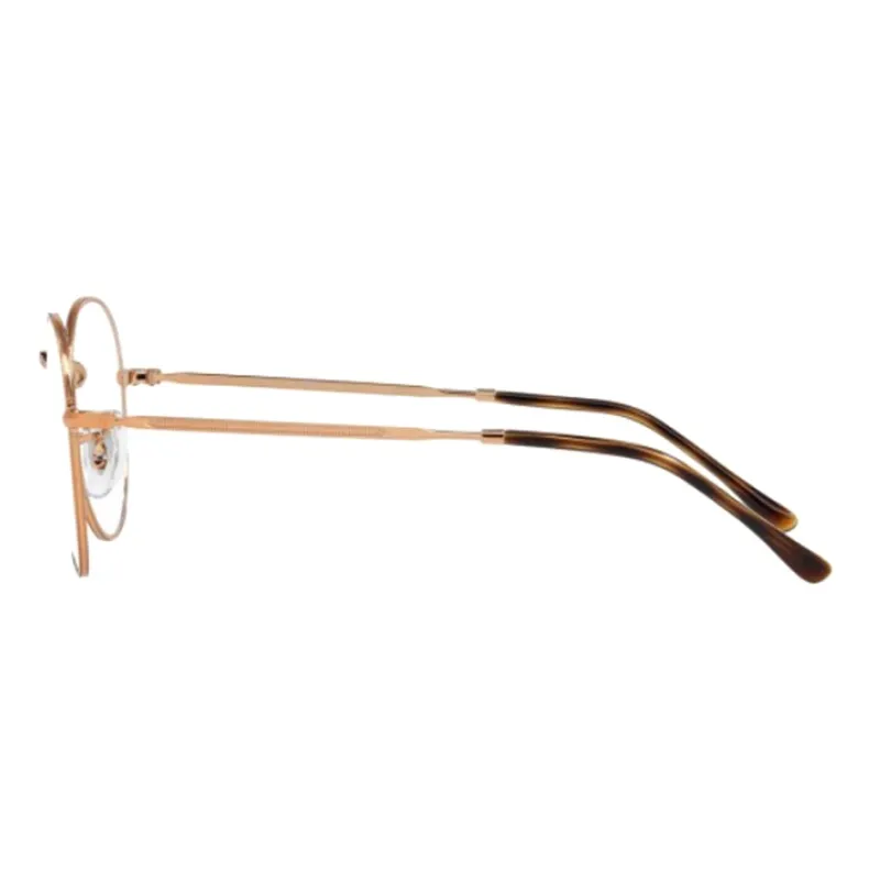 RayBan Round Frame Glasses-2