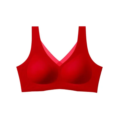 Lanza Women's Bras