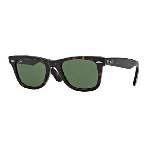 RayBan Acetate Titanium Stainless Steel Irregular Shape Sunglasses Men's Tortoiseshell