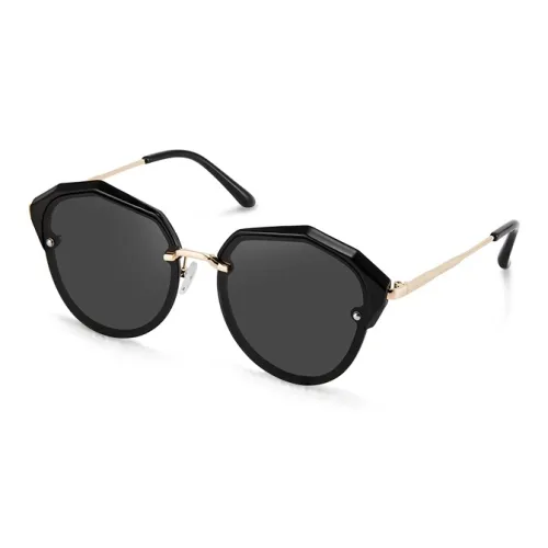 EQUIPMENTELEGANT Irregular Shape Sunglasses Unisex
