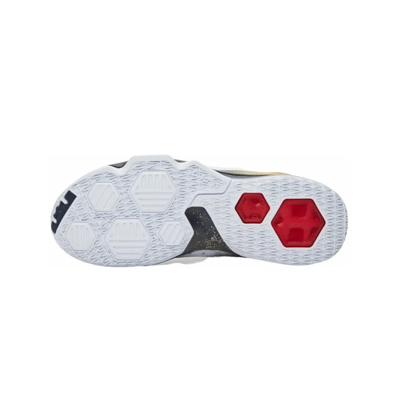 Nike LeBron 13 Low Olympic-3