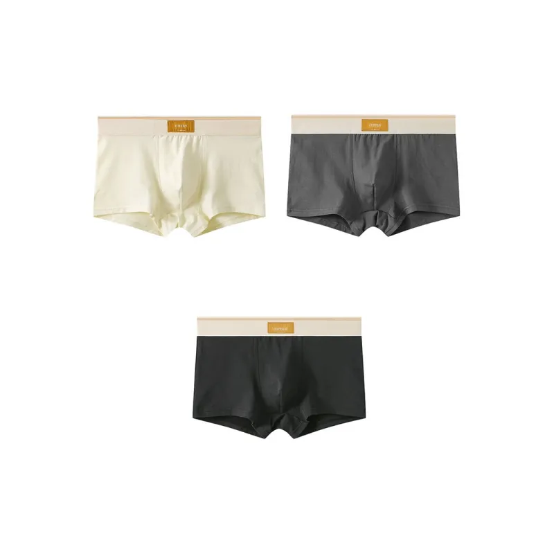 Close fitting Areas Underpants Men's 3 Pack-2