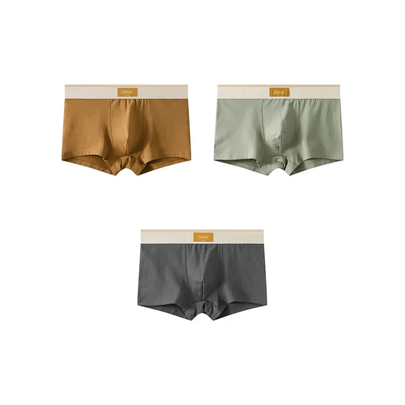 Close fitting Areas Underpants Men's 3 Pack-4