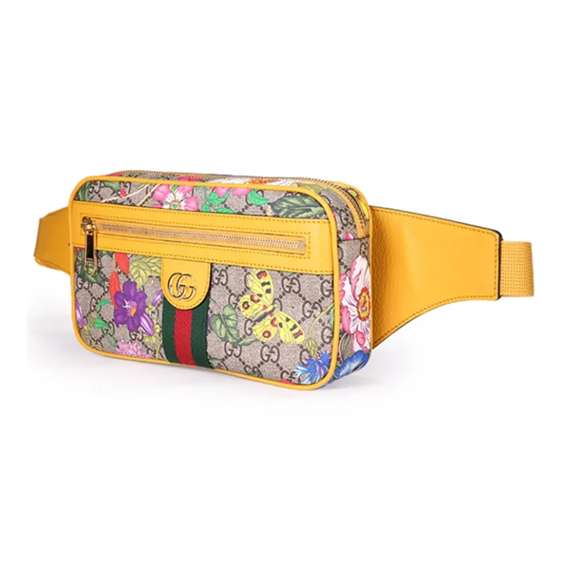 GUCCI Ophidia Fanny Packs-2