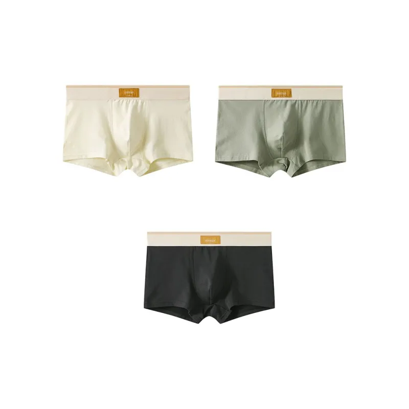 Close fitting Areas Underpants Men's 3 Pack-5