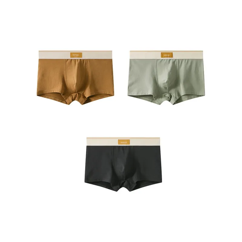 Close fitting Areas Underpants Men's 3 Pack-8