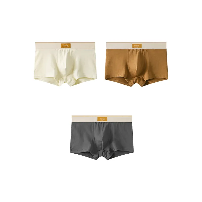 Close fitting Areas Underpants Men's 3 Pack-3