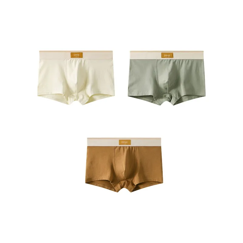 Close fitting Areas Underpants Men's 3 Pack-6