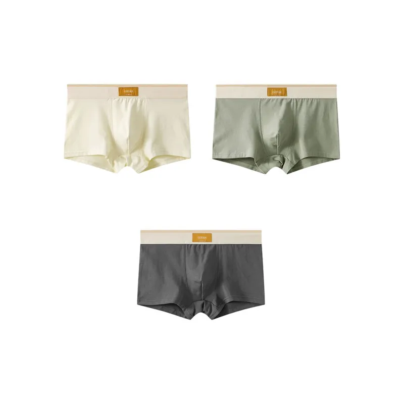 Close fitting Areas Underpants Men's 3 Pack-1