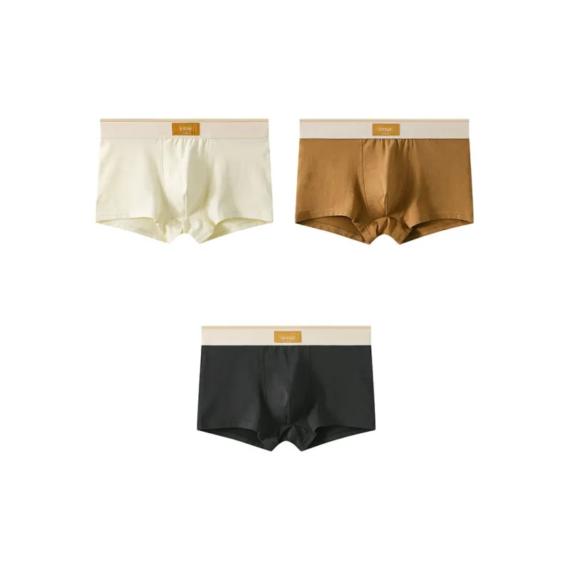 Close fitting Areas Underpants Men's 3 Pack-7