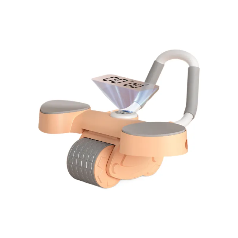 YL Abdominal Rollers-0