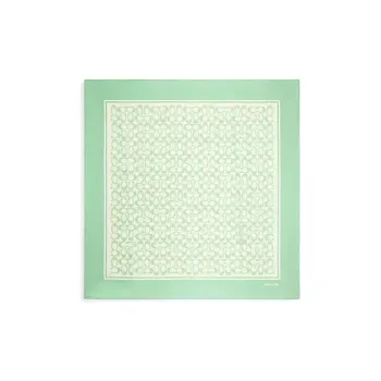 COACH Silk Scarves Unisex Green