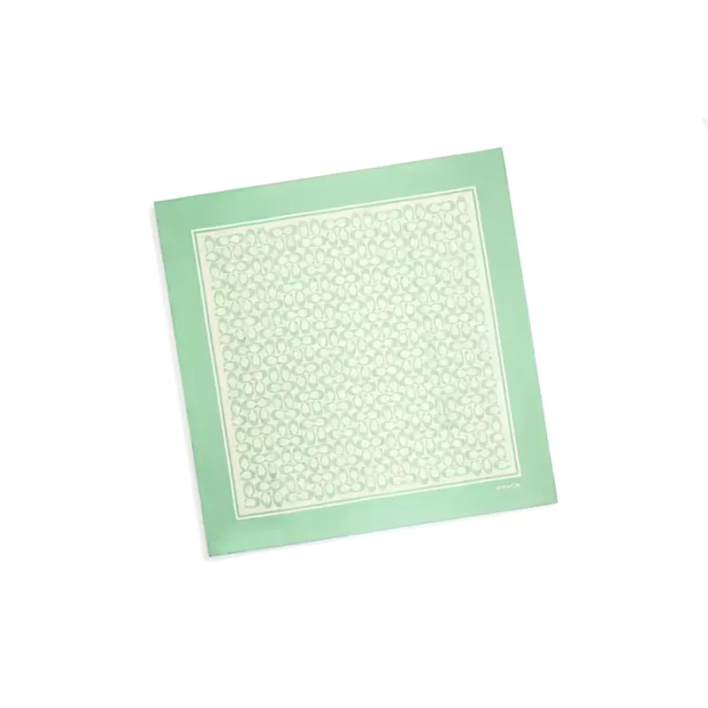 COACH Silk Scarves Unisex Green-2