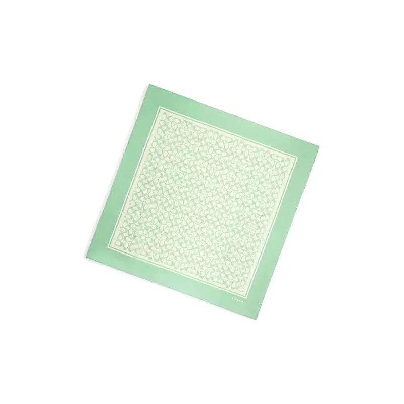 COACH Silk Scarves Unisex Green-1