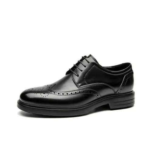 SAINT ANGELO Dress Shoes Men Low-Top Black