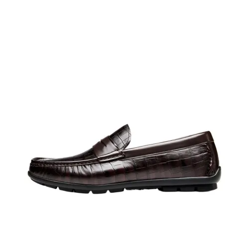 SAINT ANGELO Loafers Men Coffee