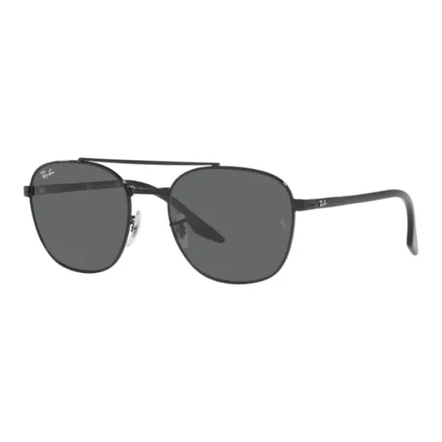 RayBan Erik Round frame Sunglasses