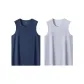 Gray Blue+Light Gray