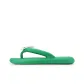 8013-12 Green