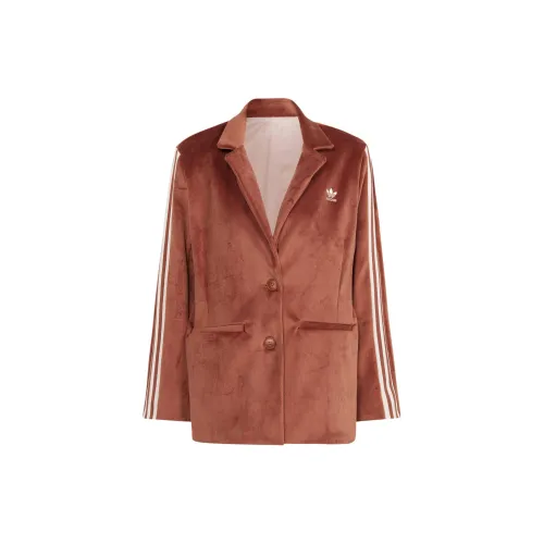 Adidas Originals Business Suit Women's Coffee