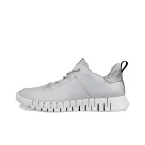 Silver Gray