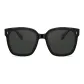 MS3026C10-Gray Polarized