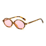 Leopard Print Frame with Pink Lens