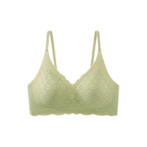Lanza Women's Bras