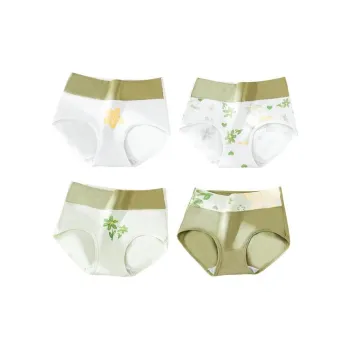 Lanza Underpants Women's 4 Pack