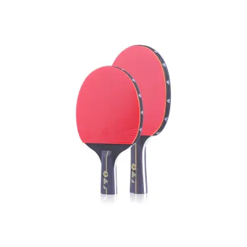 PEAK Ping Pong Paddles