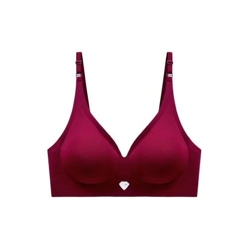 Lanza Women's Bras