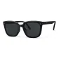 Obsidian Black[Polarized]