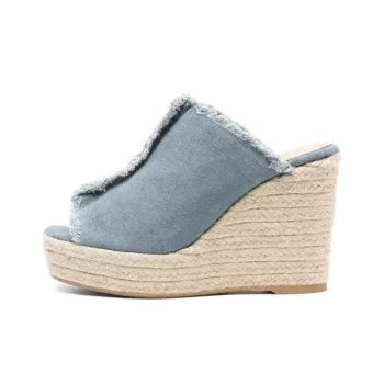 Castañer Fatima 110mm Wedge Mules
