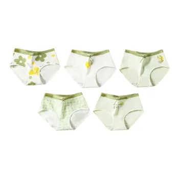 Lanza Underpants Women's 5 Pack