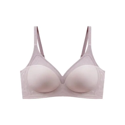 Lanza Women's Bras