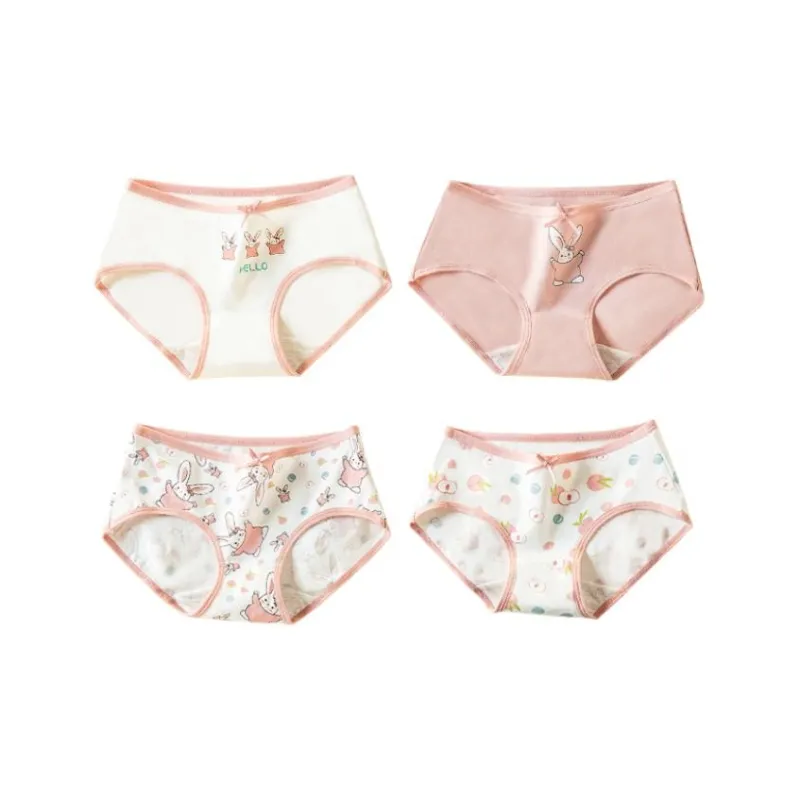 Lanza Underpants Women's 4 Pack-0