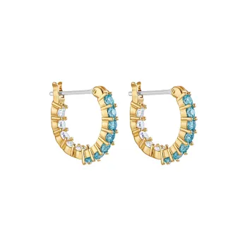 Swarovski Vittore Earrings Women's