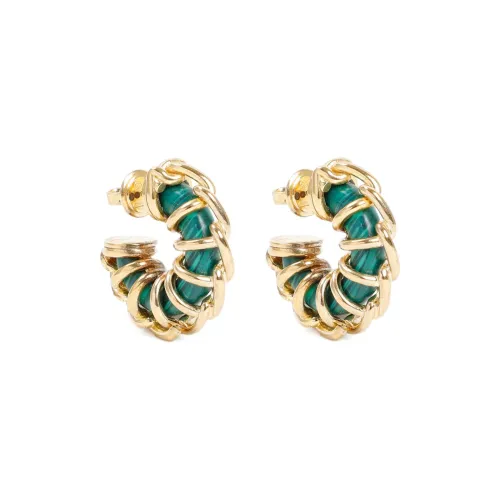 Bottega Veneta Earrings Unisex Green