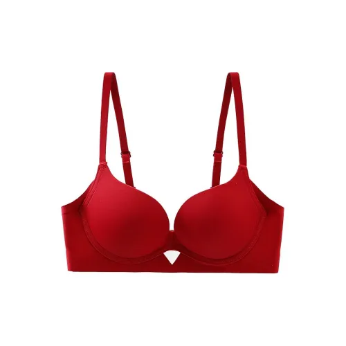 Lanza Women's Bras