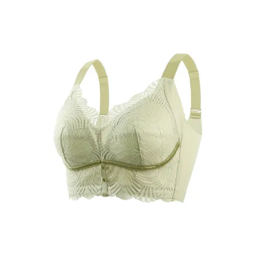 Lanza Women's Bras