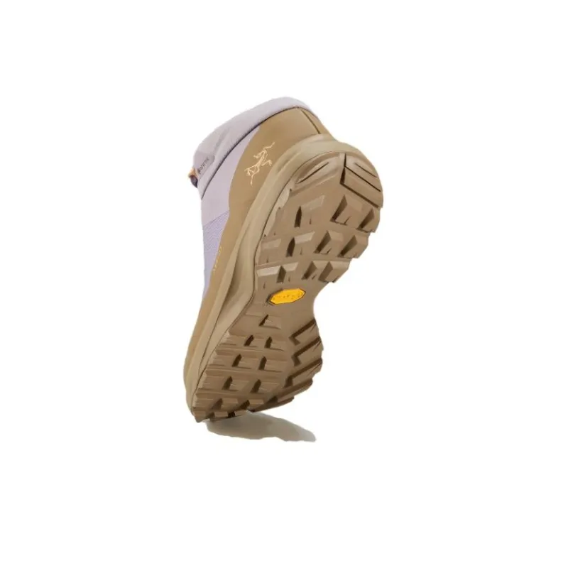 Arcteryx Aerios FL Slip-Resistant Breathable Low-Top Hiking Trekking Shoes Purple Brown-2