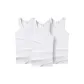 White+White+White